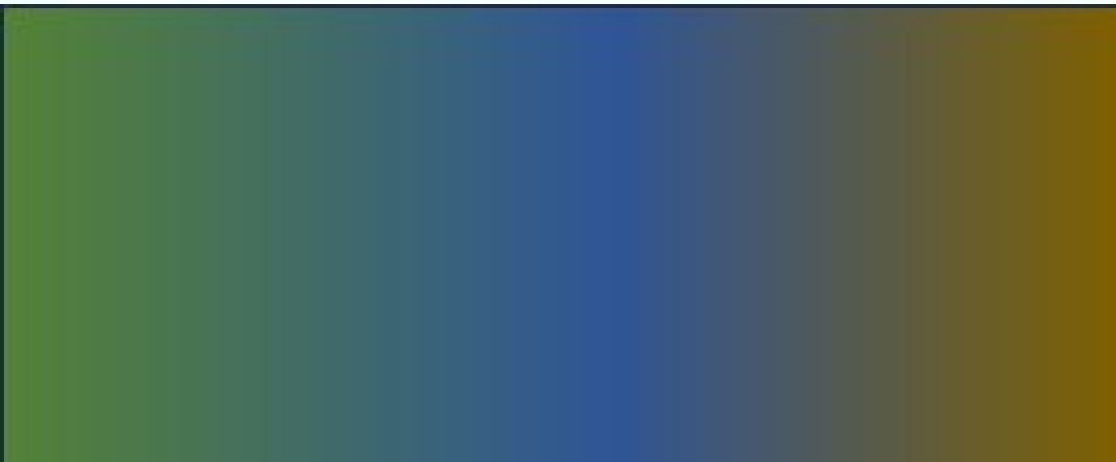 Limburger Ju-Jutsuka mit überzeugenden Leistungen bei Landesprüfungen