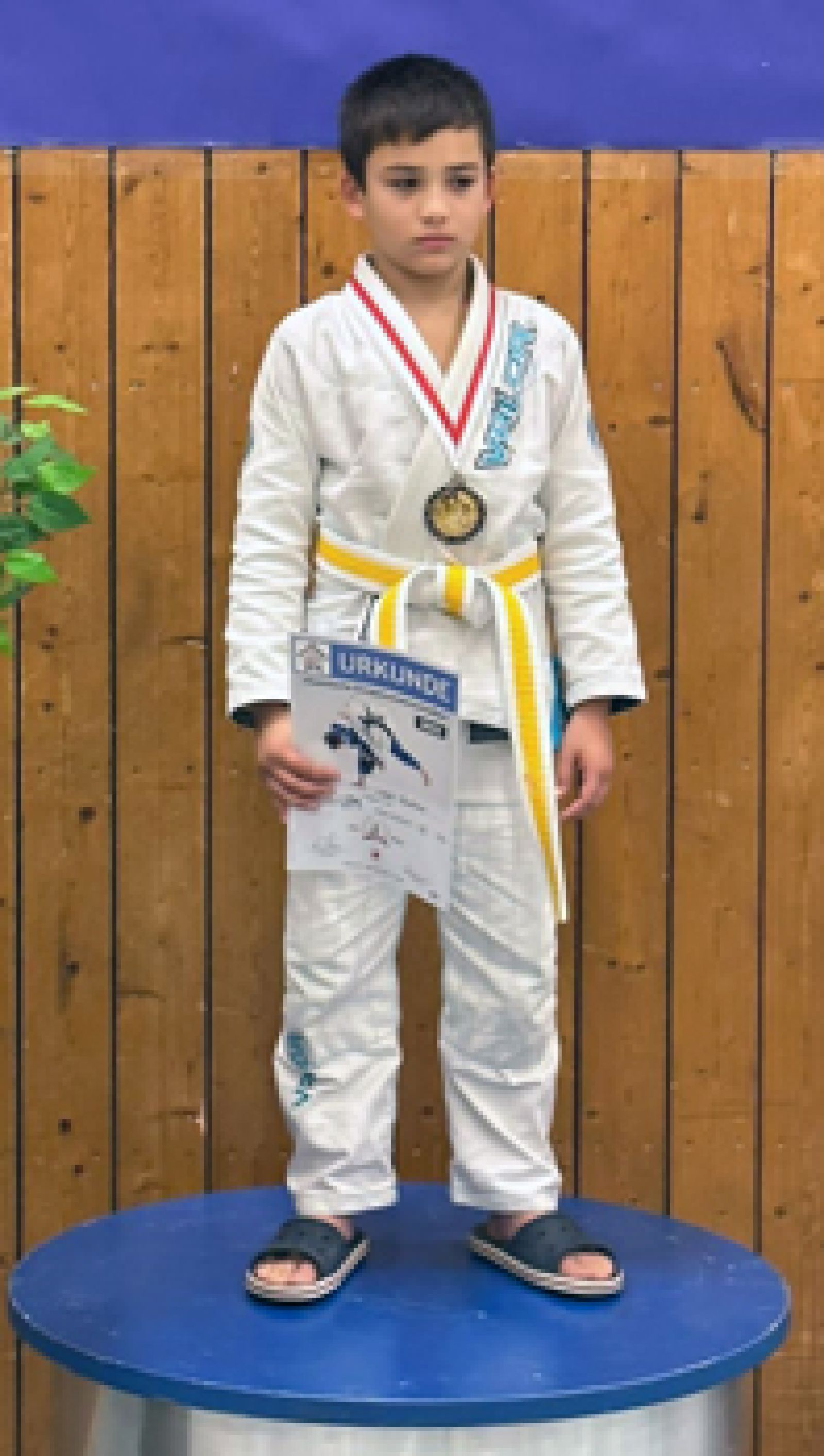 Limburg stellt Judo U 11 - Vizemeister bei den Hessischen Einzelmeisterschaften